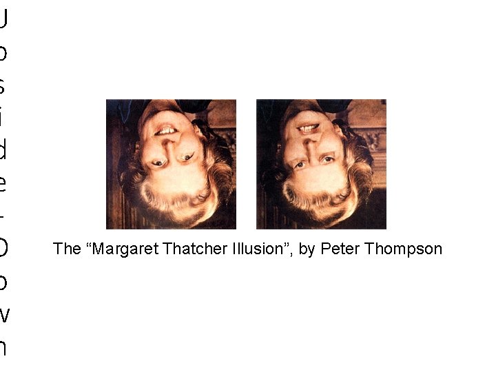 U p s i d e D o w n The “Margaret Thatcher Illusion”,