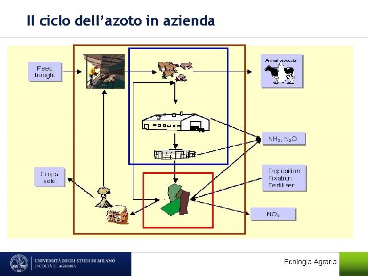 Il ciclo dell’azoto in azienda Ecologia Agraria 