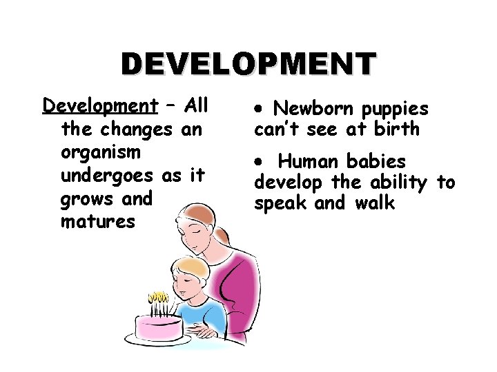 DEVELOPMENT Development – All the changes an organism undergoes as it grows and matures