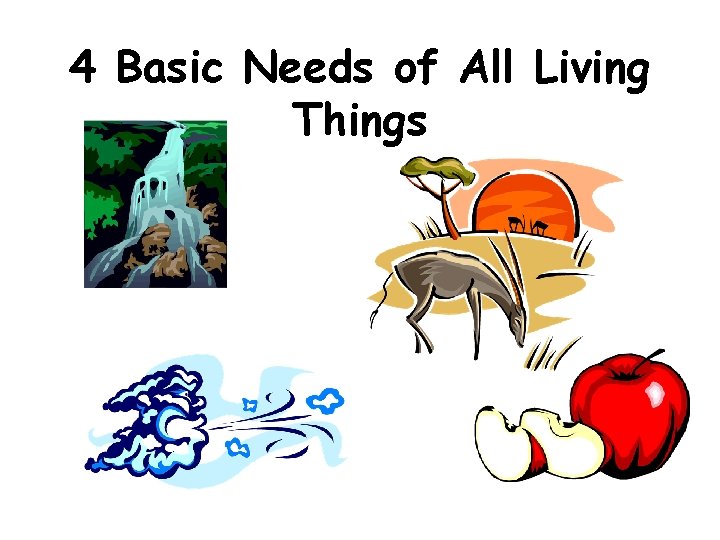 4 Basic Needs of All Living Things 