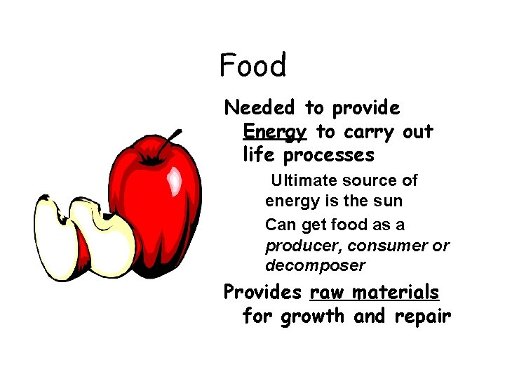 Food Needed to provide Energy to carry out life processes Ultimate source of energy
