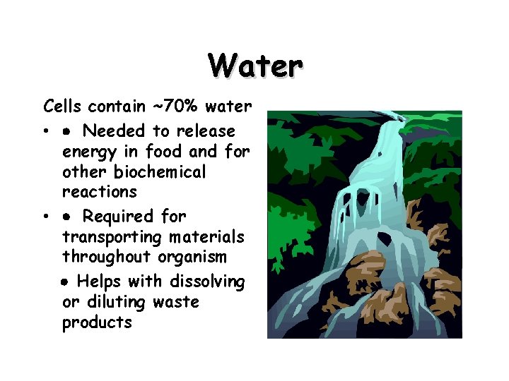 Water Cells contain ~70% water • · Needed to release energy in food and