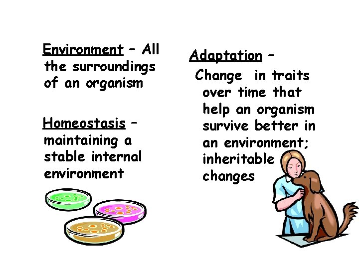 Environment – All the surroundings of an organism Homeostasis – maintaining a stable internal