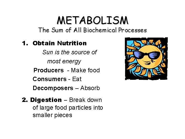 METABOLISM The Sum of All Biochemical Processes 1. Obtain Nutrition Sun is the source