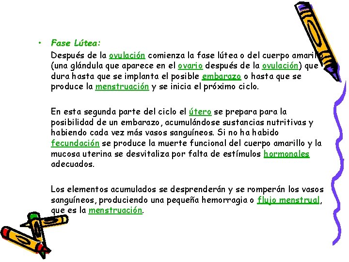  • Fase Lútea: Después de la ovulación comienza la fase lútea o del