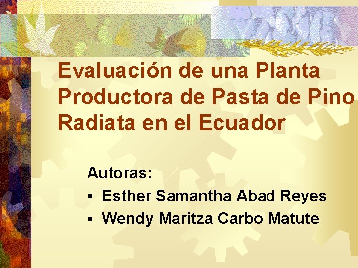 Evaluación de una Planta Productora de Pasta de Pino Radiata en el Ecuador Autoras: