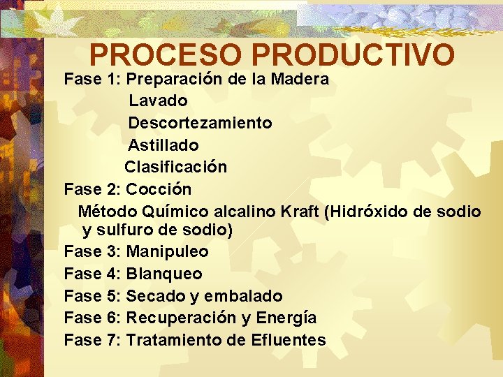 PROCESO PRODUCTIVO Fase 1: Preparación de la Madera Lavado Descortezamiento Astillado Clasificación Fase 2: