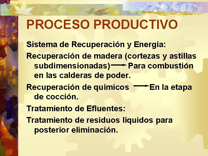 PROCESO PRODUCTIVO Sistema de Recuperación y Energía: Recuperación de madera (cortezas y astillas subdimensionadas)