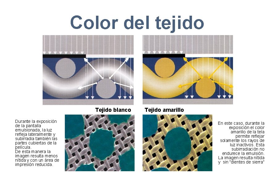 Color del tejido Tejido blanco Durante la exposición de la pantalla emulsionada, la luz