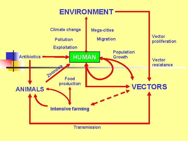 ENVIRONMENT Climate change Mega-cities Vector proliferation Migration Pollution Exploitation HUMAN Antibiotics s n o