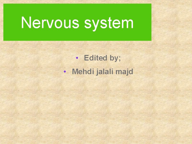 Nervous system • Edited by; • Mehdi jalali majd 