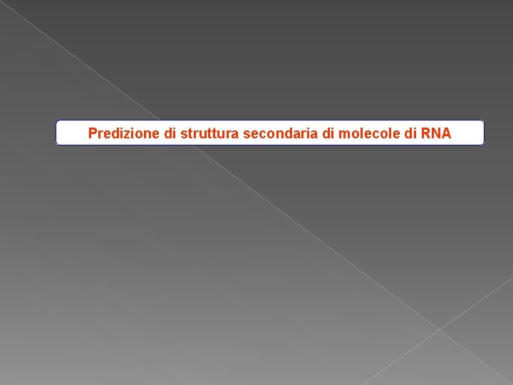 Predizione di struttura secondaria di molecole di RNA 