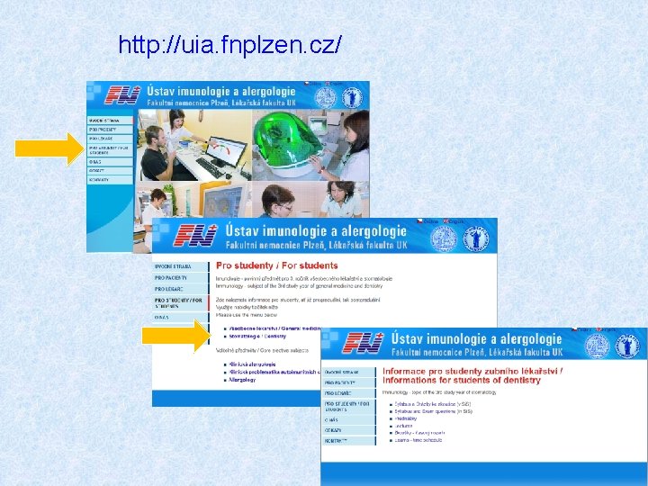 http: //uia. fnplzen. cz/ 