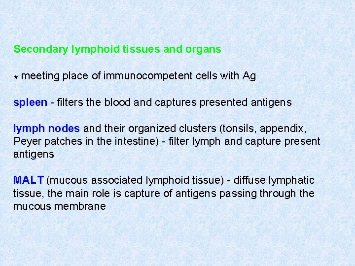 Secondary lymphoid tissues and organs * meeting place of immunocompetent cells with Ag spleen