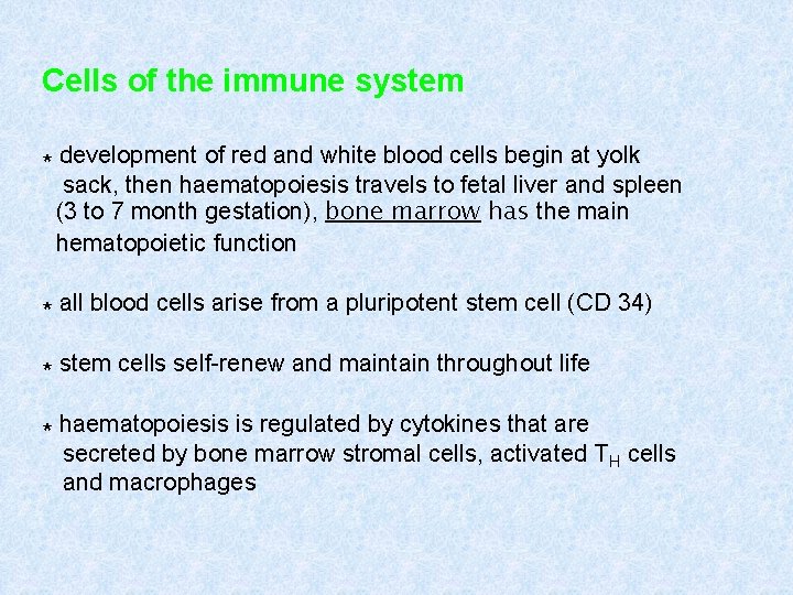 Cells of the immune system * development of red and white blood cells begin