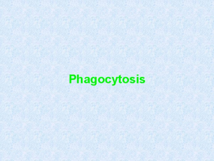 Phagocytosis 