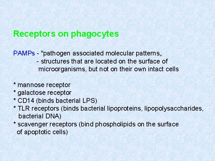 Receptors on phagocytes PAMPs - "pathogen associated molecular patterns„ - structures that are located Receptors on phagocytes PAMPs - "pathogen associated molecular patterns„ - structures that are located