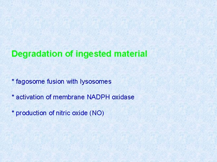 Degradation of ingested material * fagosome fusion with lysosomes * activation of membrane NADPH