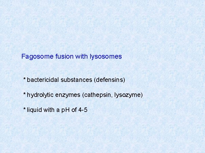 Fagosome fusion with lysosomes * bactericidal substances (defensins) * hydrolytic enzymes (cathepsin, lysozyme) *