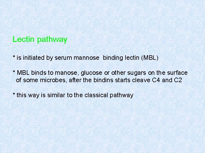 Lectin pathway * is initiated by serum mannose binding lectin (MBL) * MBL binds