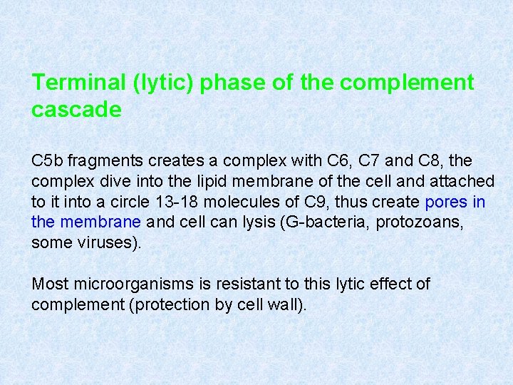 Terminal (lytic) phase of the complement cascade C 5 b fragments creates a complex Terminal (lytic) phase of the complement cascade C 5 b fragments creates a complex