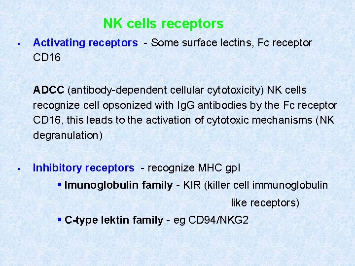 NK cells receptors § Activating receptors - Some surface lectins, Fc receptor CD 16