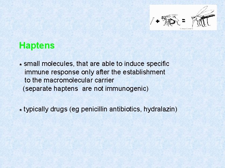 Haptens * small molecules, that are able to induce specific immune response only after