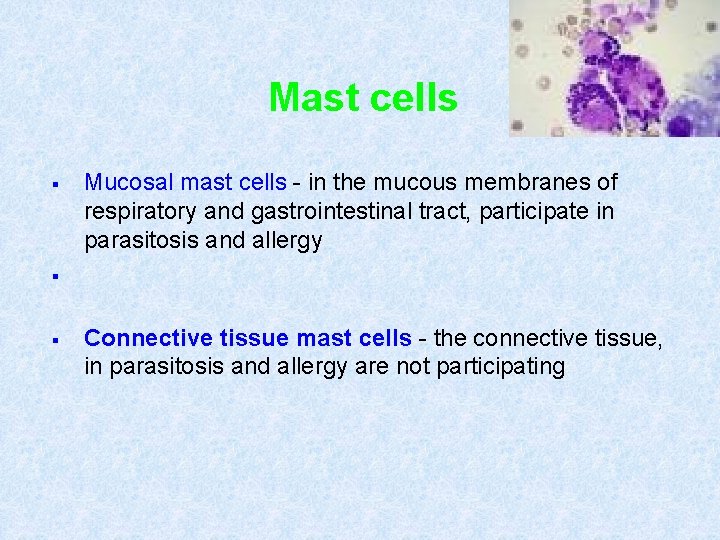 Mast cells § Mucosal mast cells - in the mucous membranes of respiratory and