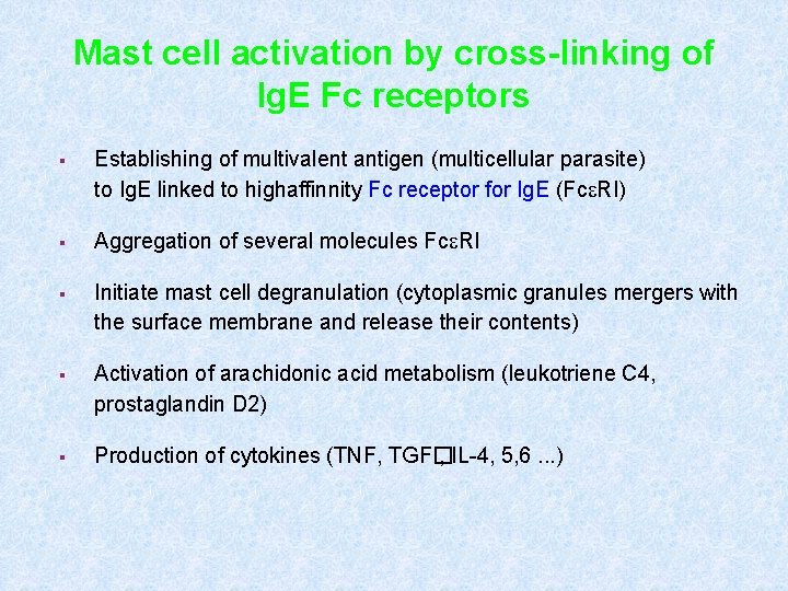 Mast cell activation by cross-linking of Ig. E Fc receptors § Establishing of multivalent