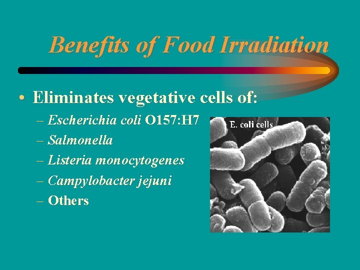 Benefits of Food Irradiation • Eliminates vegetative cells of: – Escherichia coli O 157: