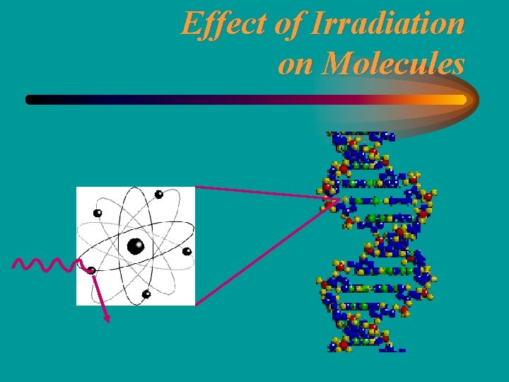 Effect of Irradiation on Molecules 
