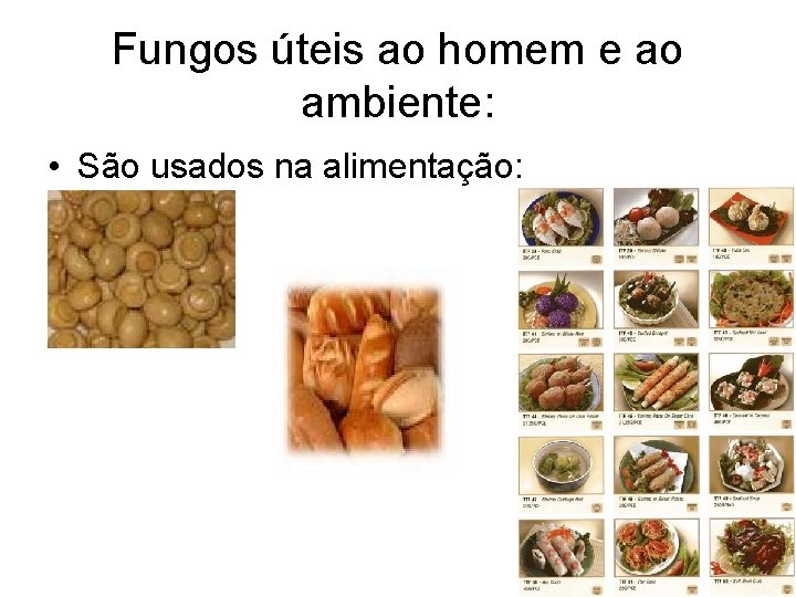 Fungos úteis ao homem e ao ambiente: • São usados na alimentação: 