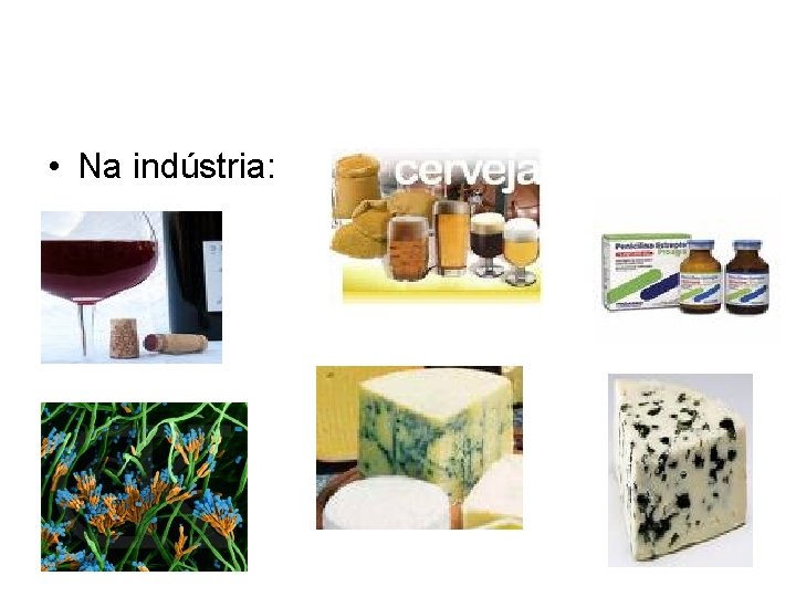  • Na indústria: 