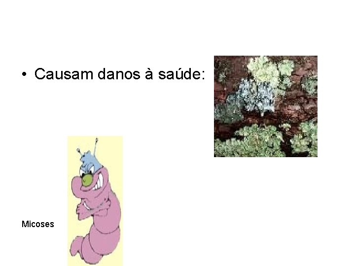  • Causam danos à saúde: Micoses 