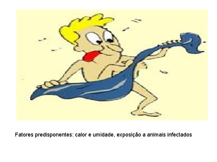Fatores predisponentes: calor e umidade, exposição a animais infectados 