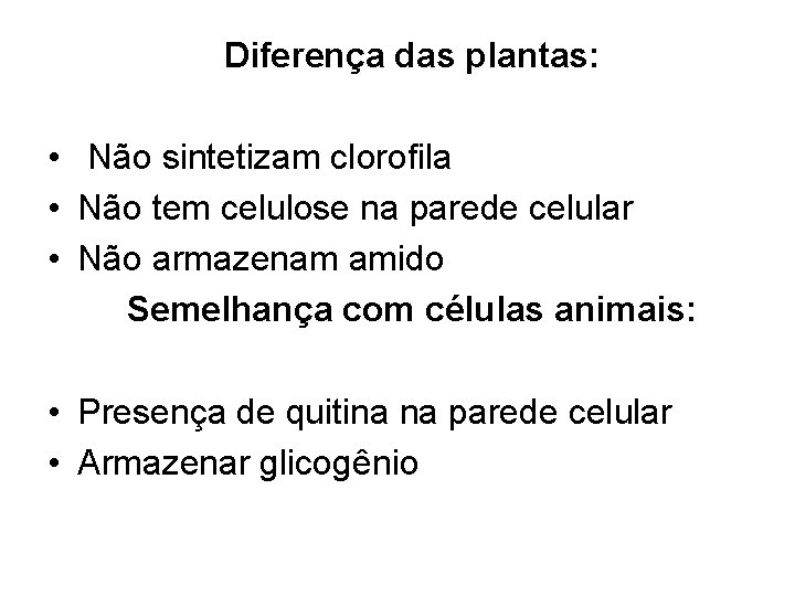 Diferença das plantas: • Não sintetizam clorofila • Não tem celulose na parede celular