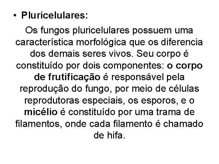  • Pluricelulares: Os fungos pluricelulares possuem uma característica morfológica que os diferencia dos
