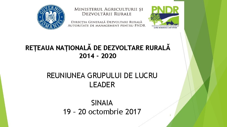 REȚEAUA NAȚIONALĂ DE DEZVOLTARE RURALĂ 2014 - 2020 REUNIUNEA GRUPULUI DE LUCRU LEADER SINAIA
