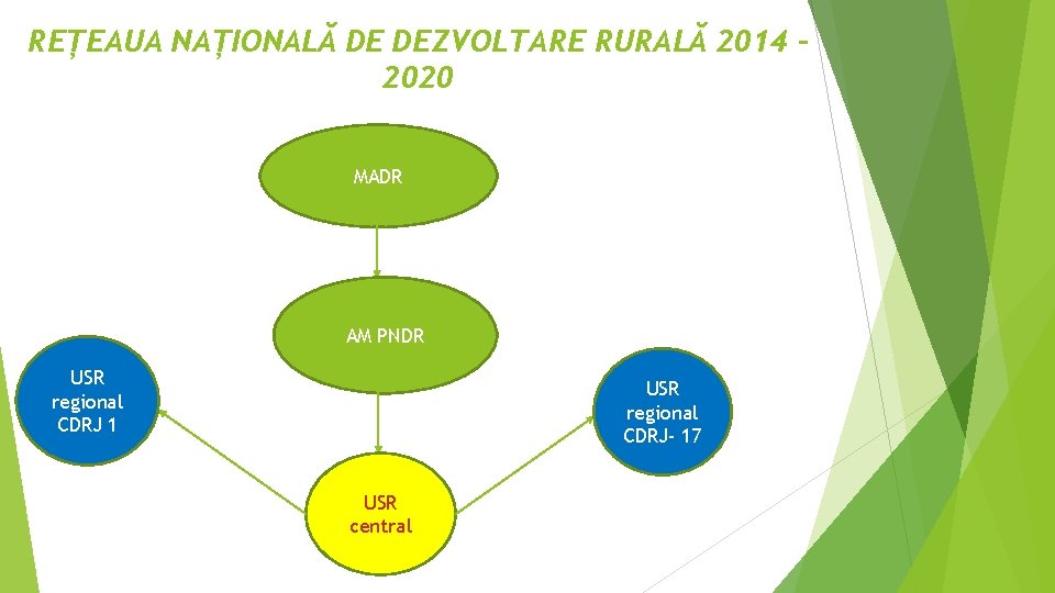 REȚEAUA NAȚIONALĂ DE DEZVOLTARE RURALĂ 2014 2020 MADR AM PNDR USR regional CDRJ 1