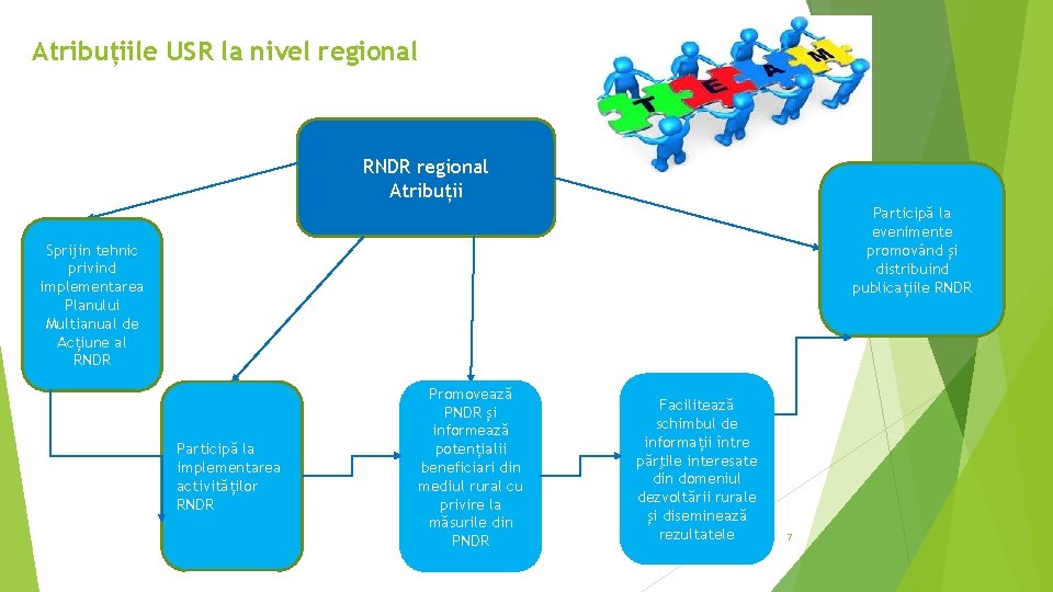 Atribuțiile USR la nivel regional RNDR regional Atribuții Participă la evenimente promovând și distribuind