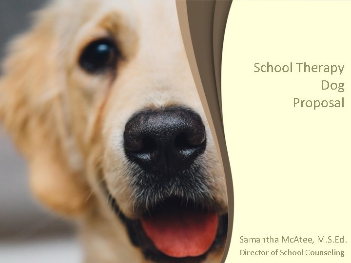 School Therapy Dog Proposal Samantha Mc. Atee, M. S. Ed. Director of School Counseling