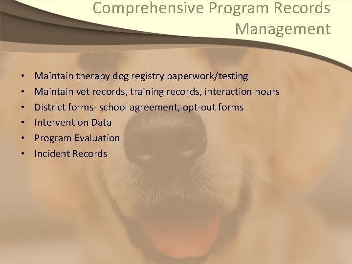 Comprehensive Program Records Management • • • Maintain therapy dog registry paperwork/testing Maintain vet