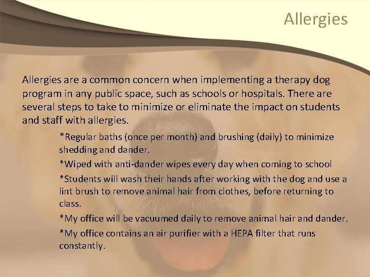 Allergies are a common concern when implementing a therapy dog program in any public