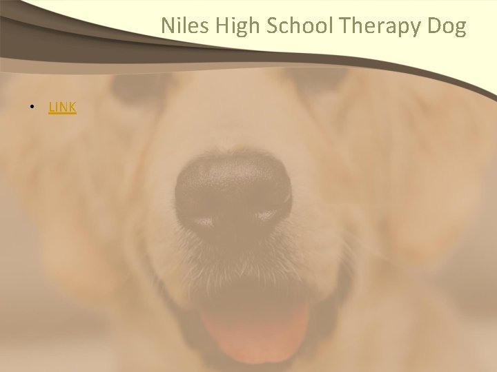 Niles High School Therapy Dog • LINK 