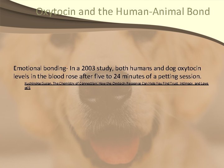 Oxytocin and the Human-Animal Bond Emotional bonding- In a 2003 study, both humans and