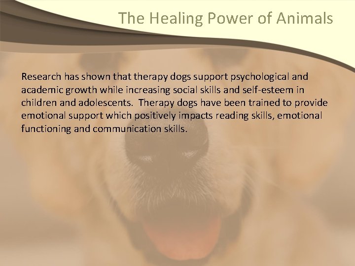 The Healing Power of Animals Research has shown that therapy dogs support psychological and
