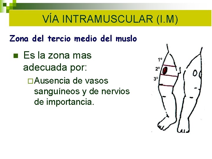 VÍA INTRAMUSCULAR (I. M) Zona del tercio medio del muslo n Es la zona VÍA INTRAMUSCULAR (I. M) Zona del tercio medio del muslo n Es la zona