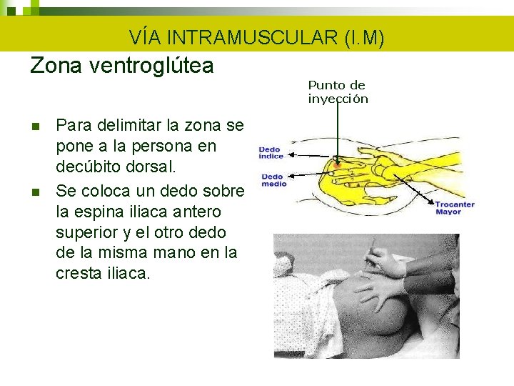 VÍA INTRAMUSCULAR (I. M) Zona ventroglútea Punto de inyección n n Para delimitar la VÍA INTRAMUSCULAR (I. M) Zona ventroglútea Punto de inyección n n Para delimitar la