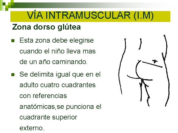VÍA INTRAMUSCULAR (I. M) Zona dorso glútea n Esta zona debe elegirse cuando el VÍA INTRAMUSCULAR (I. M) Zona dorso glútea n Esta zona debe elegirse cuando el