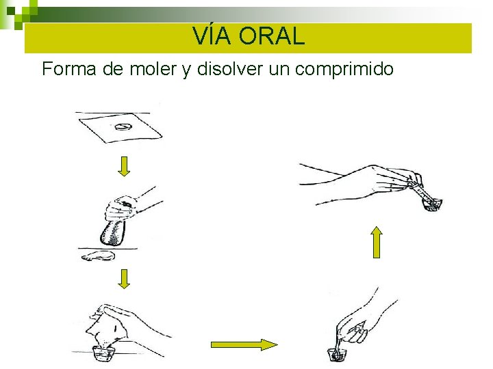 VÍA ORAL Forma de moler y disolver un comprimido VÍA ORAL Forma de moler y disolver un comprimido